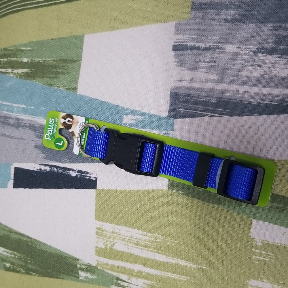 Dog Collar In Blue Size Large Brand New